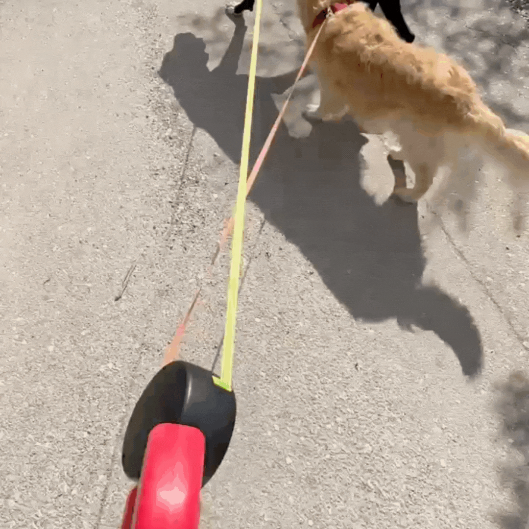 Duo Anti-Tangle Leash
