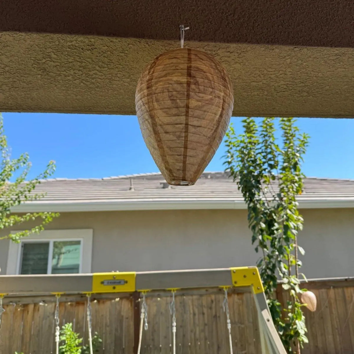 🔥Last 4 hours Sale: Save 49%-🐝Natural Wasp Deterrent Hive