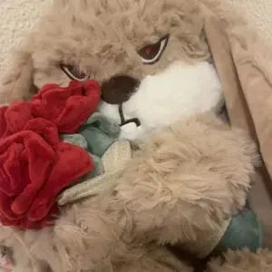 🔥Last Day 49% OFF - 🐰✨RoseDiuDiu rabbit plush toy rabbit doll cute rabbit baby doll soothing doll