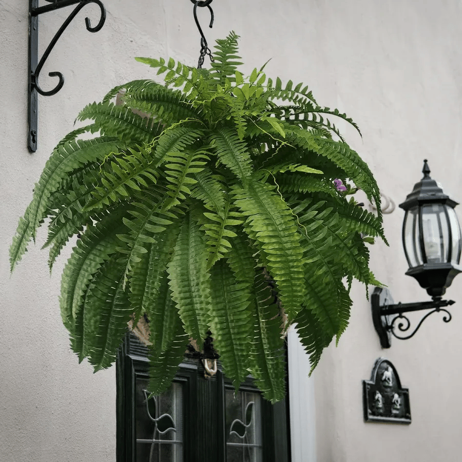 UV-Resistant Lifelike Artificial Boston Fern