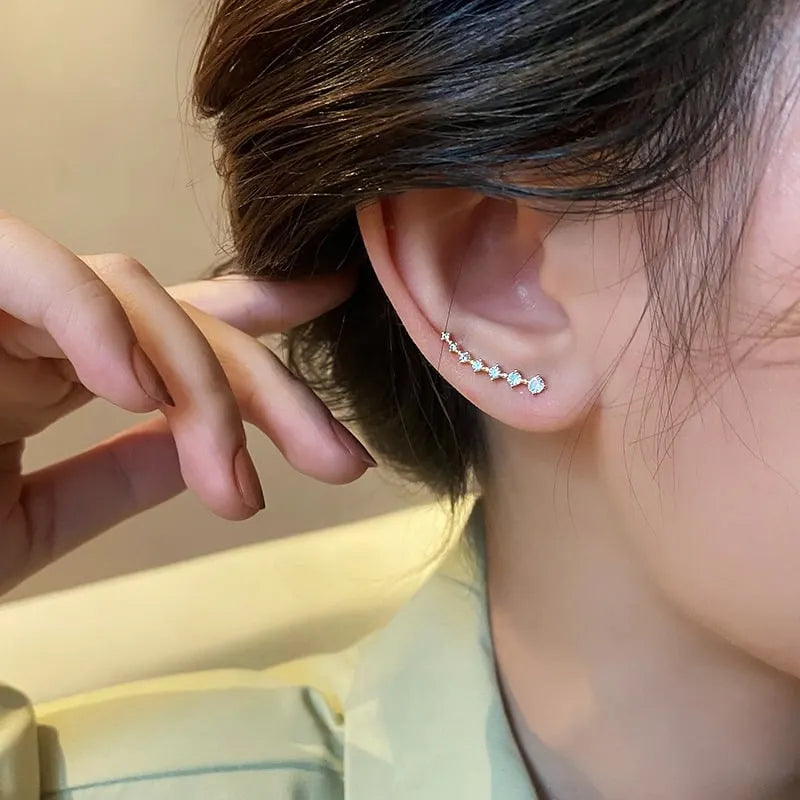 🔥BUY 1 GET 1 FREE🔥Seven Star Diamond Stud Earrings