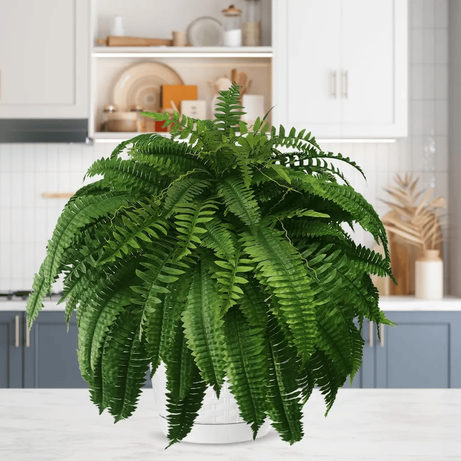 UV-Resistant Lifelike Artificial Boston Fern