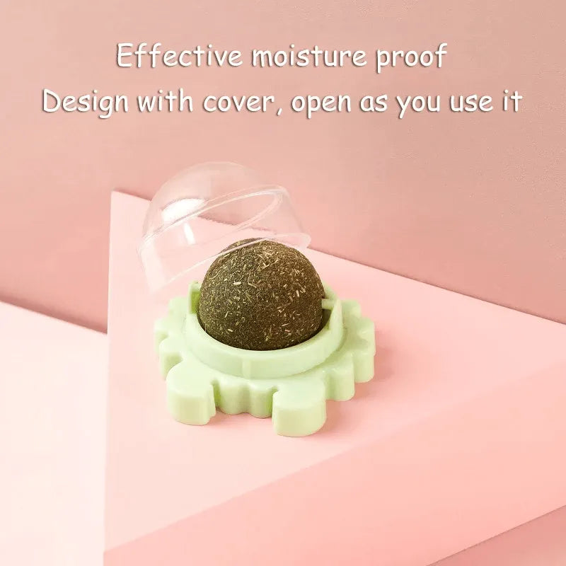 Catnip Teeth Cleaning Edible Toy Ball