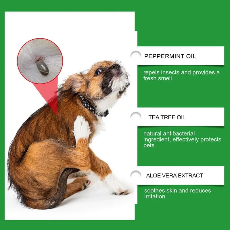 🔥HOT SALE🔥🍃Natural Flea & Tick Foam for Dogs and Cats🐾 Keep Your Beloved Pet Free from Pests