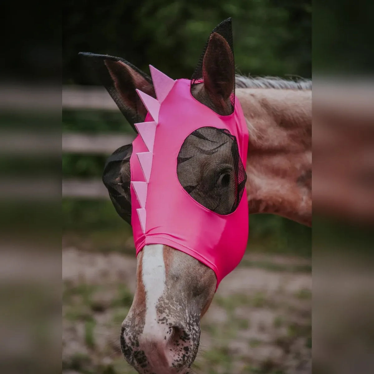 Anti-Muck Breathable Anti-Fly Horse Mask