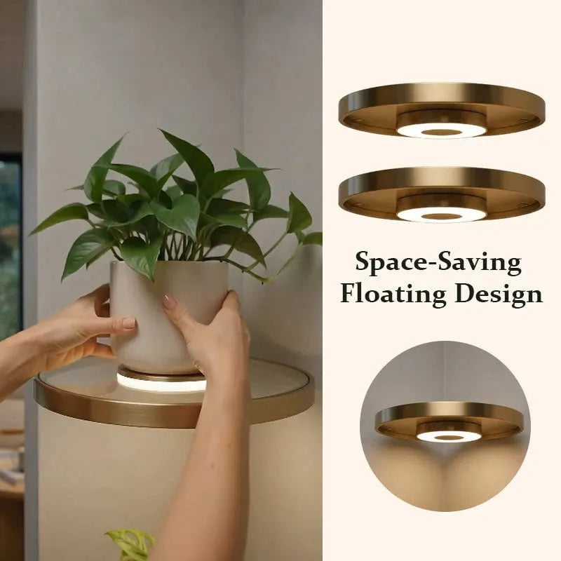 🔥HOT SALE🔥🌿 Floating Plant Shelf with Built-in Ambient LED Light