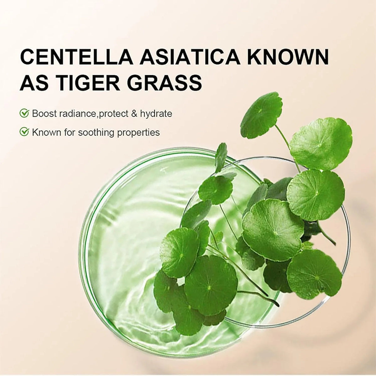 🔥 HOT SALE 🔥💕Hydrating CC Cream Foundation with Centella Asiatica❄️
