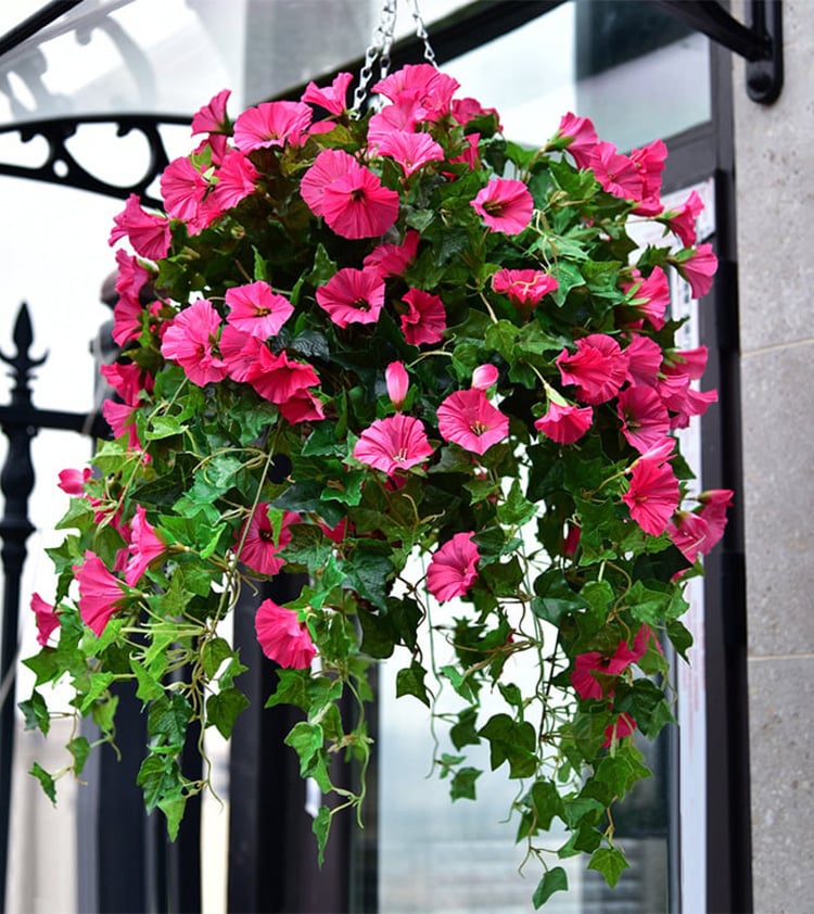 ✨This Week's Special Price $16.98💥UV Simulation Artificial morning glory✨New upgrade hot sales✨
