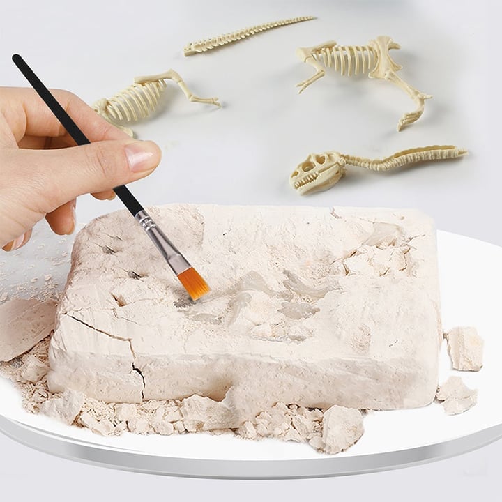 Great Educational Toy for Kids🎁New Arrival Dinosaur Fossil Digging Kit