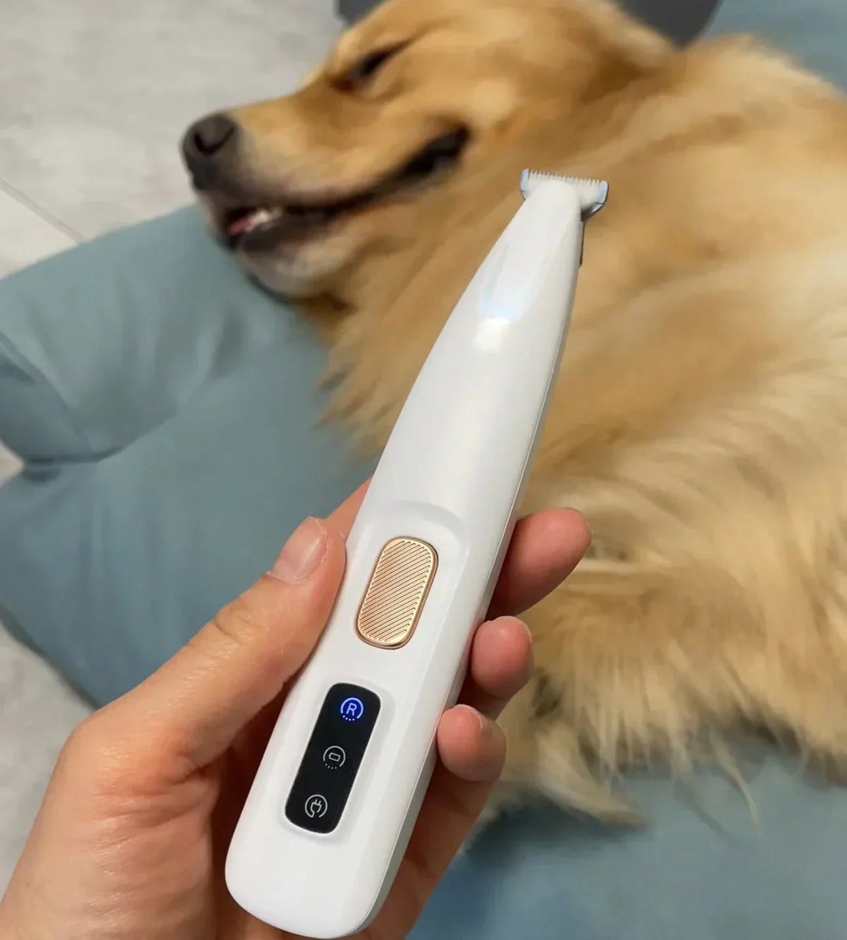 🔥HOT SALE🔥✂️🐾Precision Pet Trimmer – Safe Grooming for Paws, Eyes & Tail with LED Light